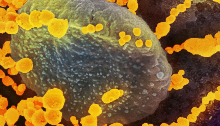 ब्रिटेन में 32 हजार नए कोरोना केस, 570 की मौत