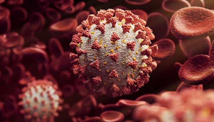 coronavirus,us government,new coronavirus,coronavirus strain,health news