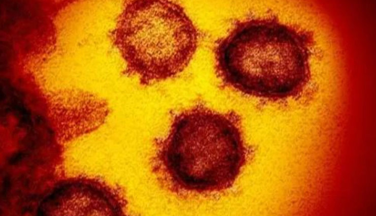 तस्वीर में देखे कैसा दिखता है कोरोना वायरस, अब तक 1631 लोगों की हुई मौत