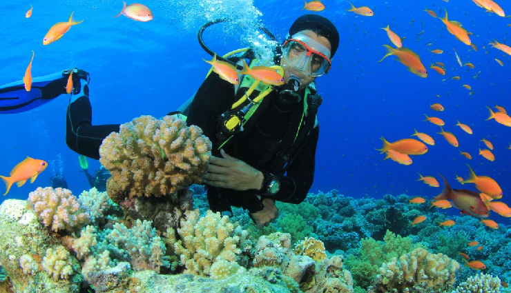 andaman scuba diving spots,best diving destinations in andaman,top andaman scuba sites,scuba diving adventures in andaman,andaman diving spots exploration,andaman scuba diving hotspots,andaman underwater experiences,andaman dive sites discovery,best places for scuba diving in andaman,andaman diving adventures