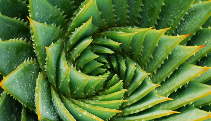 cosmetic allergy,home remedies for cosmetic allergy,Health tips,fitness tips