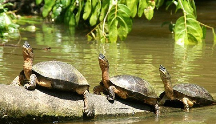 costa rica,places to visit in costa rica,tourist destinations