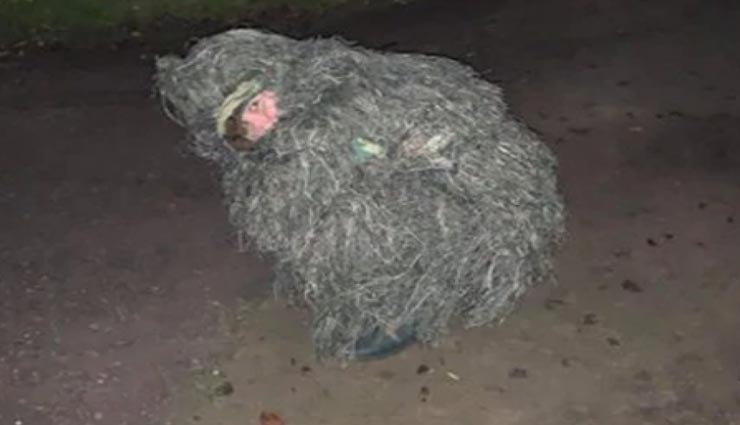 आखिर क्यों इस लड़की को बनना पड़ा एक पेड़, वजह ला देगी आपके चहरे पर मुस्कान