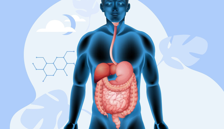 cottage cheese,health benefits of cottage cheese,Health tips,fitness tips