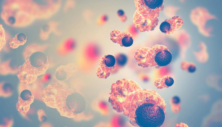 cottage cheese,health benefits of cottage cheese,Health tips,fitness tips