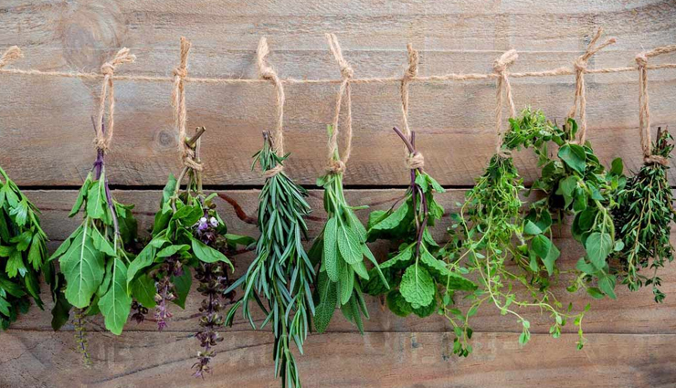 natural remedies for cough,home remedies for cough,remedies to cure cough,herbal remedies for cough,diy cough remedies,holistic remedies for cough,homeopathic remedies for cough,effective cough remedies,cough suppressant remedies,cough relief remedies,cough remedies for kids,cough remedies for adults,dry cough remedies,wet cough remedies,cough remedies for bronchitis,remedies for persistent cough