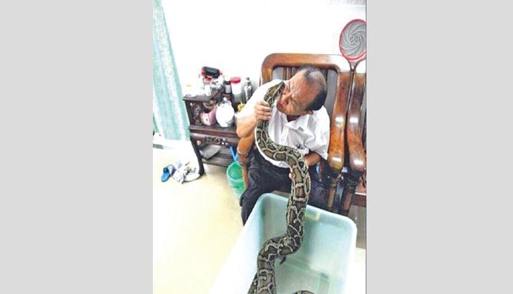 couple raised python as their child,chinese couple raised python,couple adopted python as child,weird story,china,weird story around the world