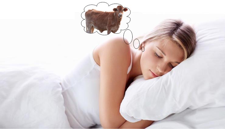 dreams,myths about dream,mythology about dreams