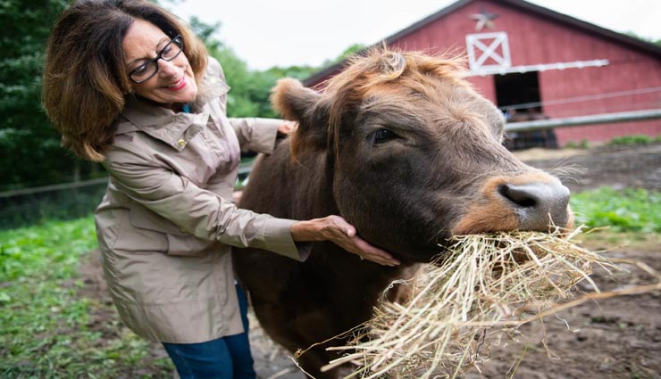 astrology tips,astrology tips in hindi,pets importance in life