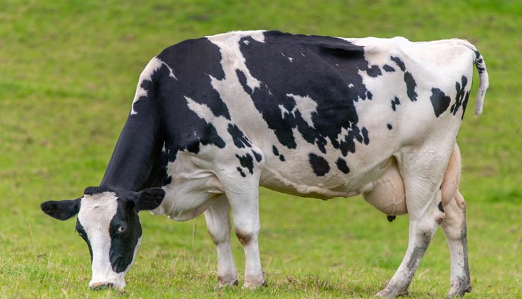 vastu tips,vastu tips in hindi,sign of money