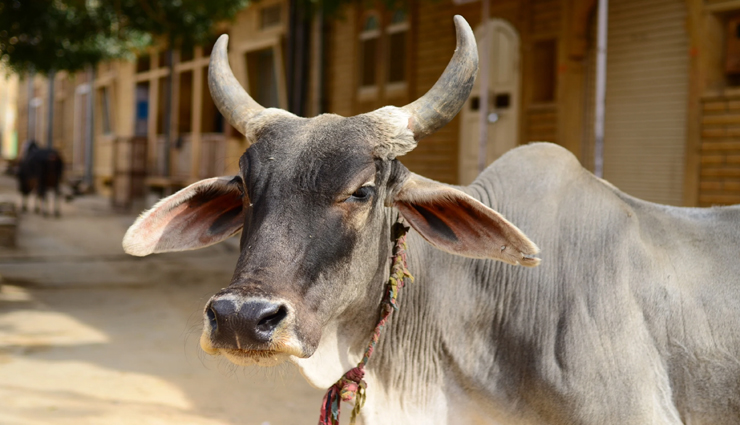 astrology tips,astrology tips in hindi,chanakya niti