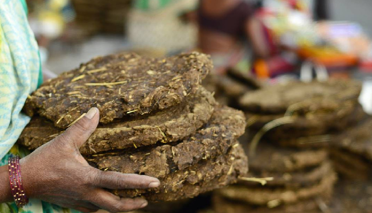 7 Least Known Health Benefits of Cow Dung