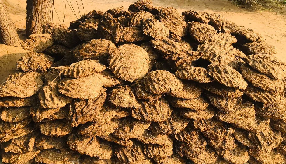 दिल्ली में बदलेगा दाह संस्कार का तरीका, लकड़ियों की जगह गाय के गोबर से बने उपलों से जलेगी चिता