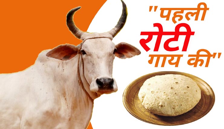 इन 5 जीवों की पेट-पूजा से दूर होंगे कुंडली के ग्रहदोष, कभी नहीं आएगी कंगाली