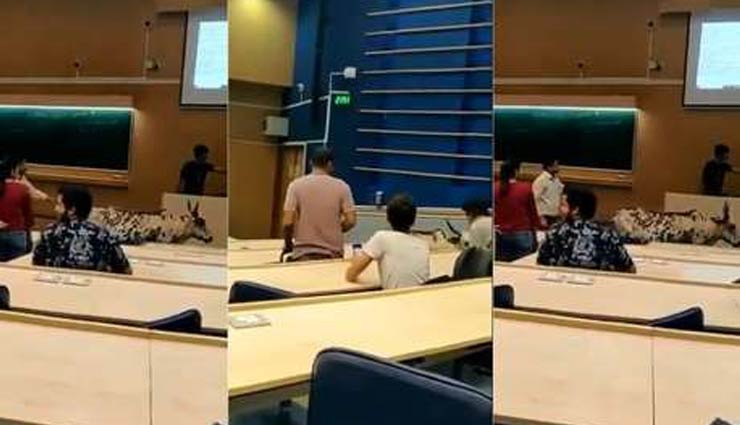 आईआईटी बॉम्बे में लेक्चर के दौरान क्लासरूम में घुसी गाय, वीडियो वायरल