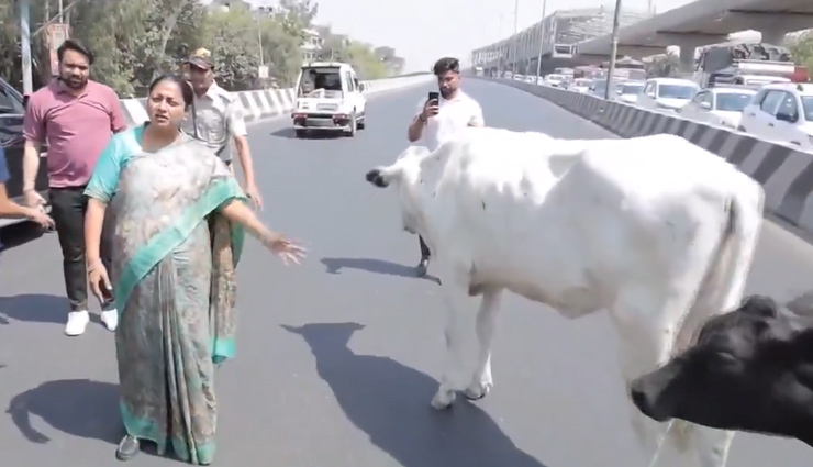 आवारा पशुओं ने रोका दिल्ली CM का काफिला, सड़क पर उतरकर दिए निर्देश