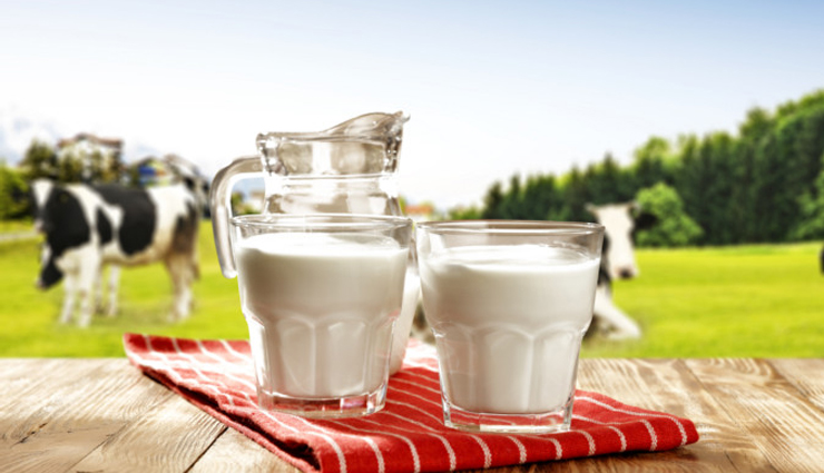 सेहत से जुड़ी कई समस्याओं का समाधान हैं गाय का दूध, जानें इसके फायदे 