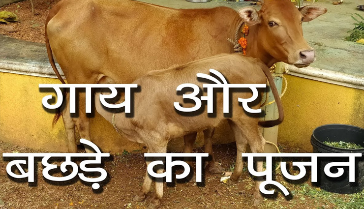  


दिवाली से पहले सुख और समृद्धि के लिए करे ये पूजा, लक्ष्मी जी सहित सभी देवी-देवता होंगे प्रसन्न 