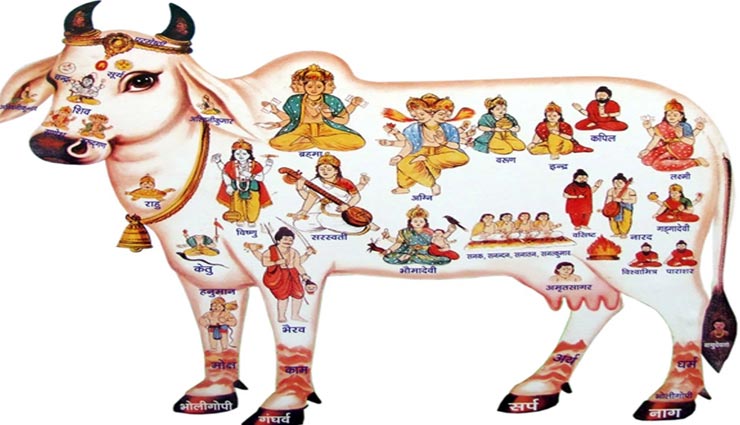 शुक्रवार को जरूर करें ये काम, धन संबंधी हर परेशानी से मिलेगा छुटकारा astrology tips,astrology tips in hindi,friday astrology measures,money problem