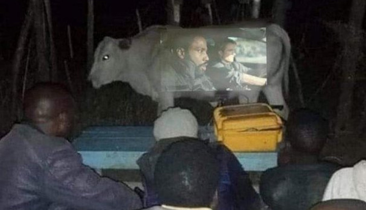 गाय की पेट को स्क्रीन बनाकर लोगों ने देखी फिल्म, लोग बोले- 'हे भगवान, यही देखना रह गया था'