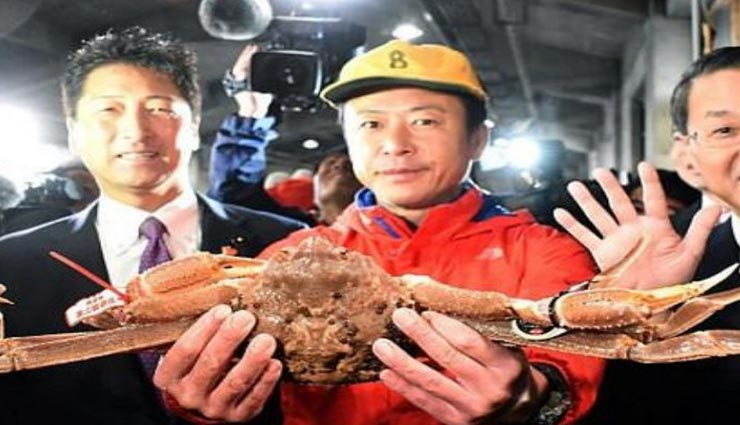 इस केकड़े की कीमत में बन सकता हैं आपका नया आशियाना, जानकर हो जाएंगे सोचने पर मजबूर