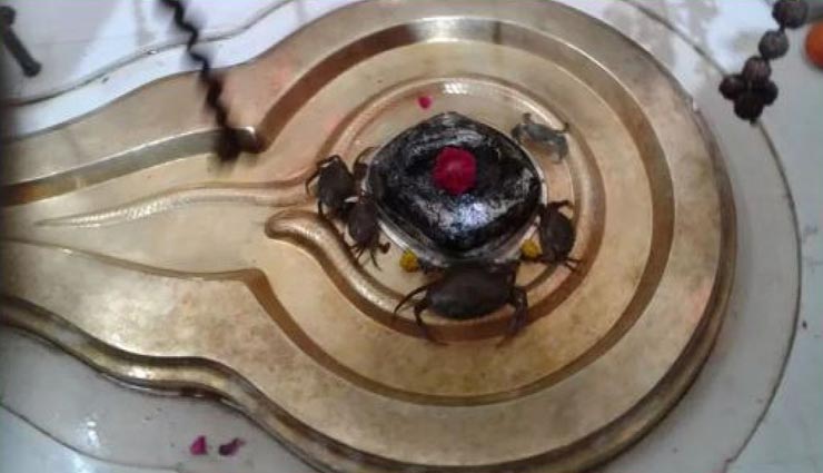 अनोखा मंदिर जहां भोलेनाथ को फूल की जगह चढ़ाए जाते हैं जिंदा केकड़े