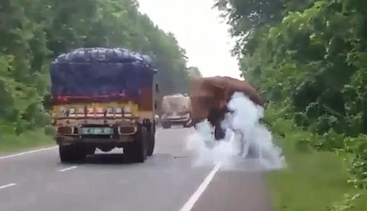 hungry elephant stop truck in west bengal,hungry elephant,west bengal,weird news