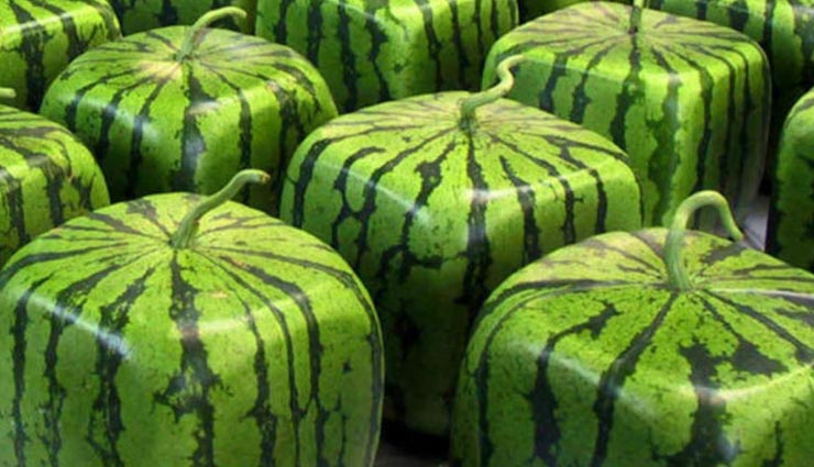 expensive fruit,weird story