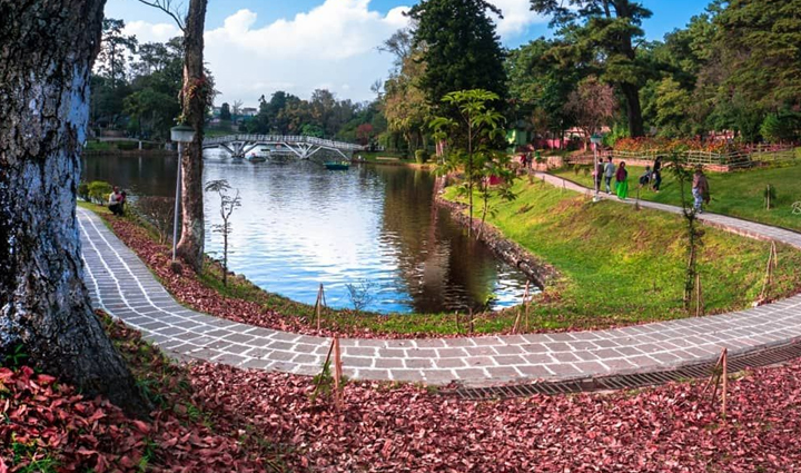 going to visit in the last days of the year these places will make christmas-new year special,holiday,travel,tourism