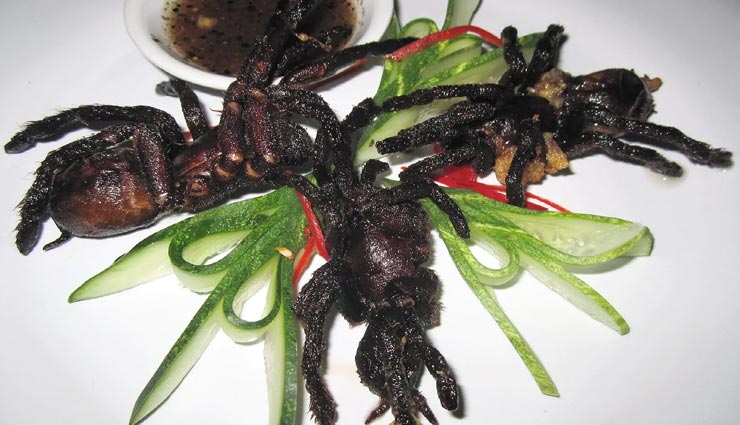 weird news,weird dishes,weird food