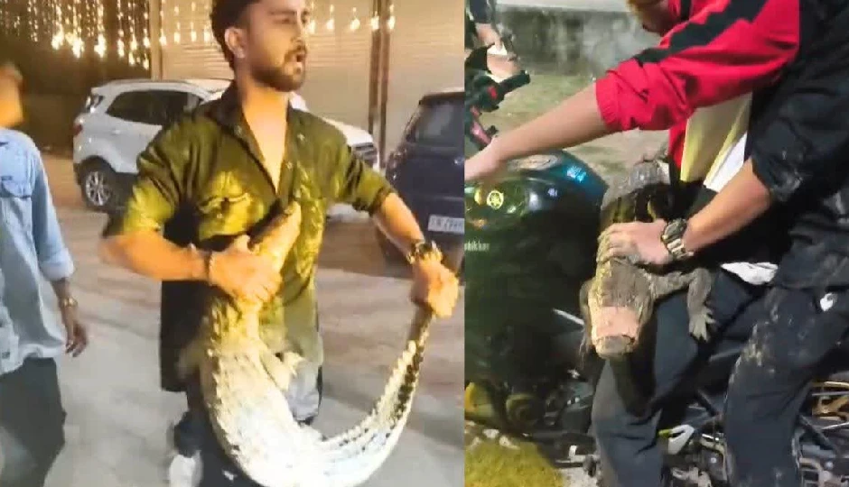 मगरमच्छ के साथ खेल-तमाशा  पड़ सकता है भारी, वायरल वीडियो के बाद वन विभाग ने शुरू की जांच