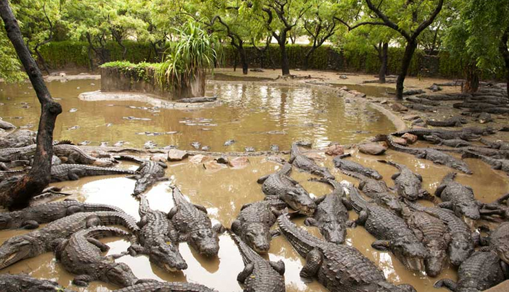 adventure activities in india,places to enjoy adventure activities in india,india tourist,india tourism,travel,travel guide