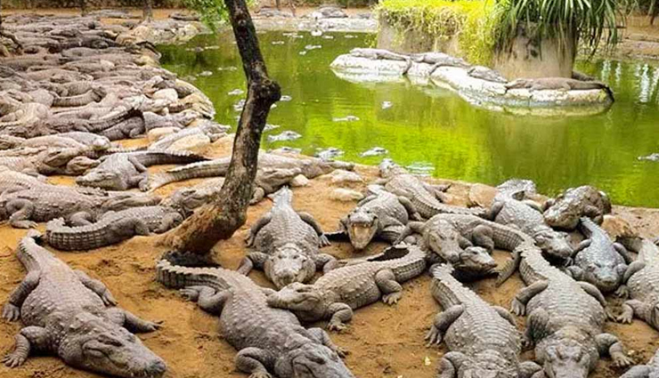 mahabalipuram tourist places,tamil nadu attractions,must-visit places in mahabalipuram,mahabalipuram sightseeing,top tourist spots in mahabalipuram,places to visit in mahabalipuram,mahabalipuram tourism,famous landmarks in mahabalipuram,best places to see in mahabalipuram,must-see attractions in mahabalipuram