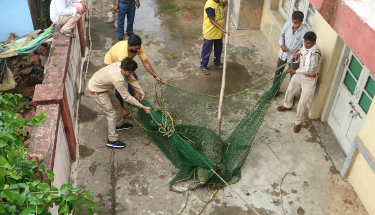 bhopal,crocodile,bhadbhada bridge,news