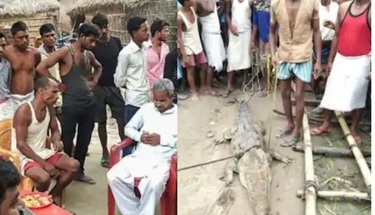 गांव वालों ने मगरमच्छ को बनाया बंधक, फिरौती में वन विभाग से मांगे 50 हजार रुपये