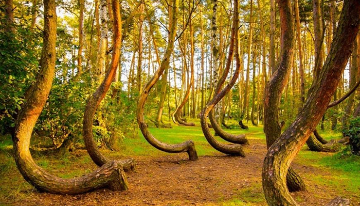 mysterious places in the world,most mysterious places in the world,most mysterious places on earth,mysterious places around the world,most mysterious place,mysterious places to visit,most mysterious places in world,mysterious places of india,world most mysterious