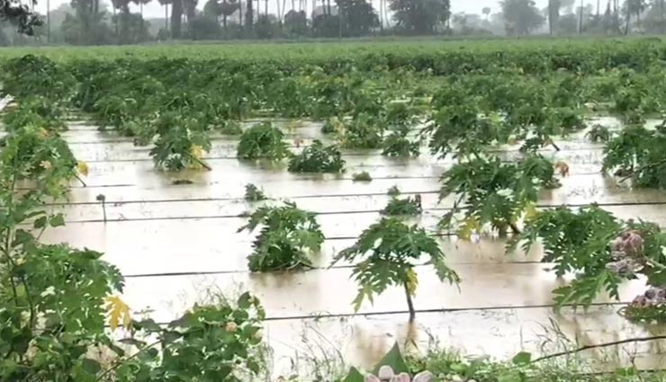 बूंदी : मूसलाधार बारिश ने मचाया हाहाकार, फसलों के साथ आशियाने हुए तबाह, उठी मुआवजे की मांग
