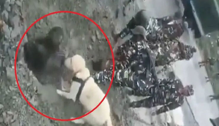 crpf  dog,jammu-srinagar highway,buried in land,detective dog,crpf news in hindi,news,news in hindi