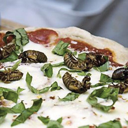 weird pizza flavors,most weird pizza flavors,pizza flavor around the world,pizza,travel,food around the world