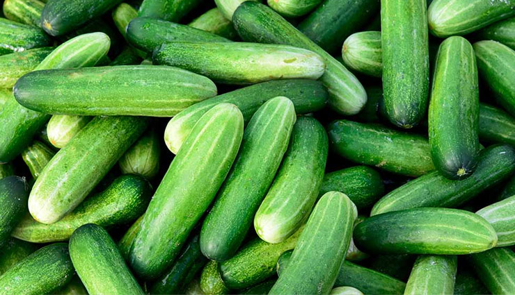cucumber,eating cucumber,drinking water after cucumber,Health,Health tips ,खीरा खाने की खबरें हिंदी में,खीरा की खबरें हिंदी में