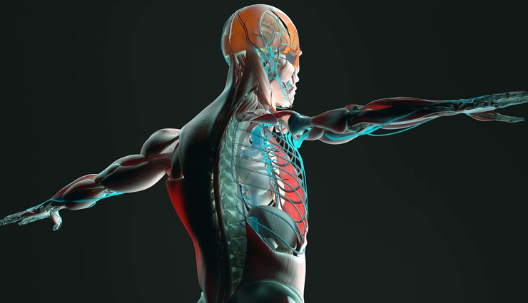 cucumber for improving hydration,cucumber for improving skin health,cucumber for reducing inflammation,cucumber for promoting weight loss,cucumber for boosting immunity,cucumber for improving digestion,cucumber for regulating blood pressure,cucumber for improving bone health,cucumber health benefits,cucumber nutrition,cucumber vitamins,cucumber antioxidants,cucumber health properties,cucumber health advantages,cucumber healthy diet