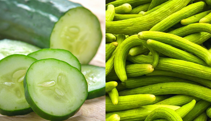 खीरा vs ककड़ी:  जानें पानी की पूर्ति के लिए कौन सा बेहतर?