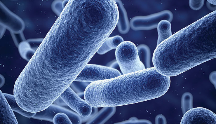 cumin seeds,health benefits of cumin seeds,Health tips,fitness tips