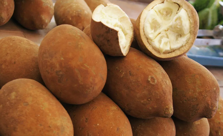 healthy and exotic foods you must try,healthy living,Health tips