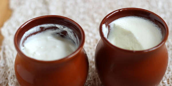 curd,curd for weight loss,health benefits of curd,fitness tips,healthy living