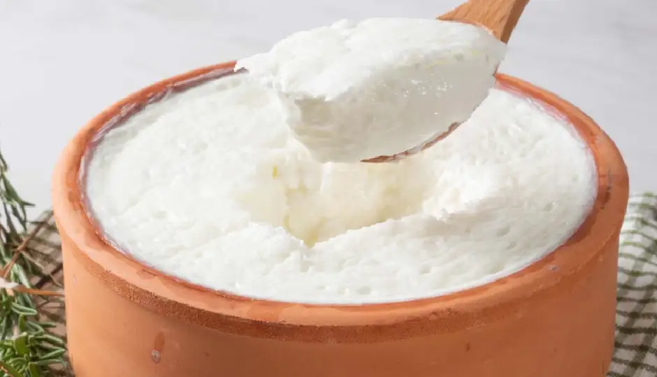 गर्मियों में दही जमाने के लिए कौन सा बर्तन है सबसे बेहतर? अपनाएं ये आसान ट्रिक, नहीं होगा खट्टा