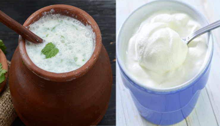 skin care,skin care tips,uses of curd,curd benefits,beauty tips,beauty