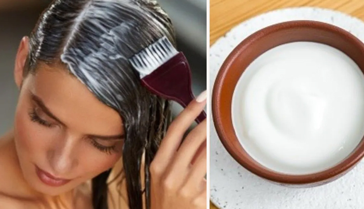 ways to use yogurt to treat dry hair,beauty tips,beauty hacks