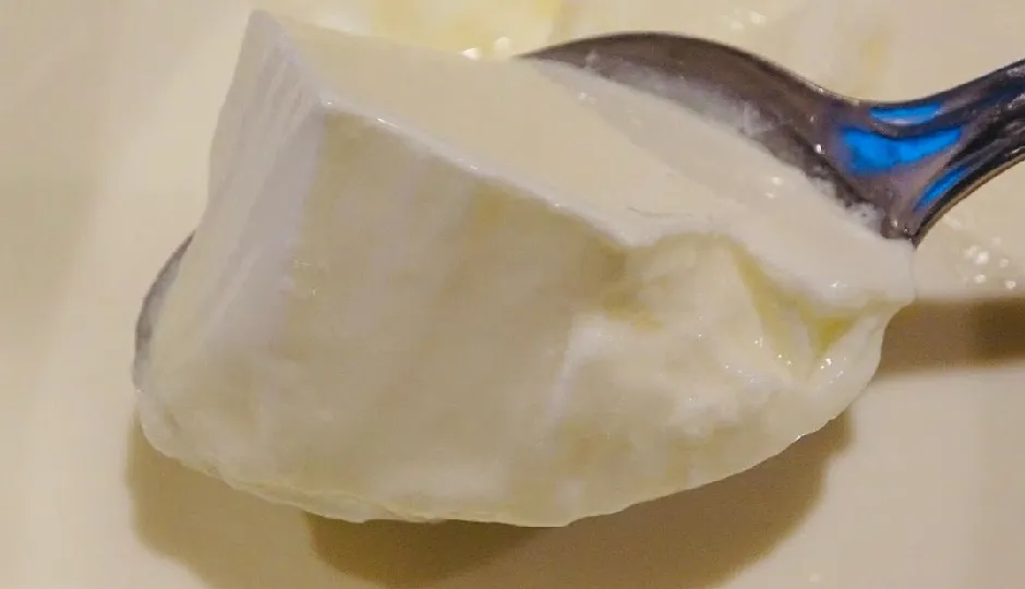 घर पर जमाएं एकदम गाढ़ा और मलाईदार दही, सही तापमान पर लगाएं जामन—खट्टापन भी रहेगा दूर घर पर जमाएं एकदम गाढ़ा और मलाईदार दही, सही तापमान पर लगाएं जामन—खट्टापन भी रहेगा दूर