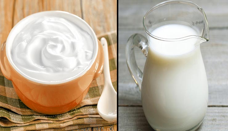 Health tips,health tips in hindi,ayurveda,milk curd and buttermilk